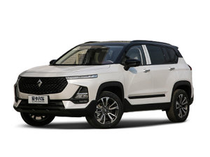 2020款宝骏RS-5 1.5T CVT 24小时在线豪华版